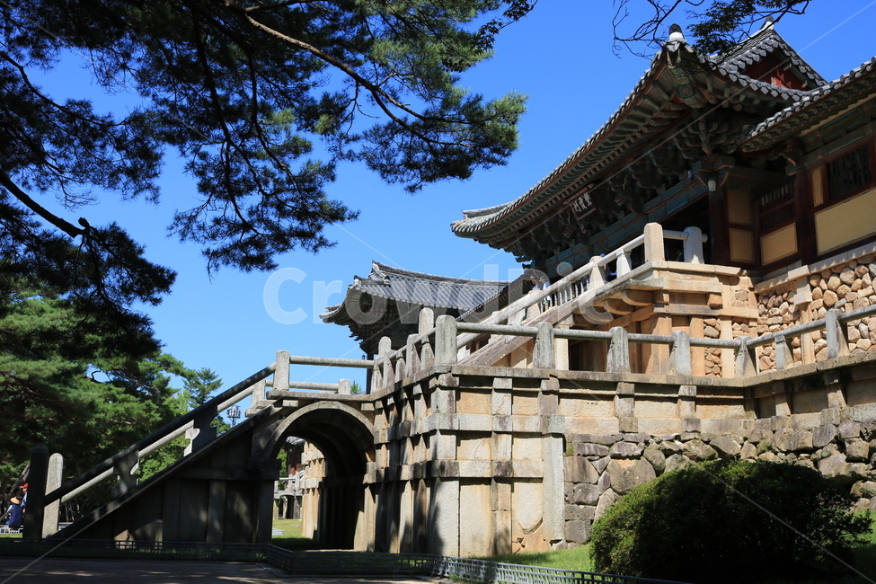 불국사,한국랜드마크,문화제,풍경,한국전통,건축물