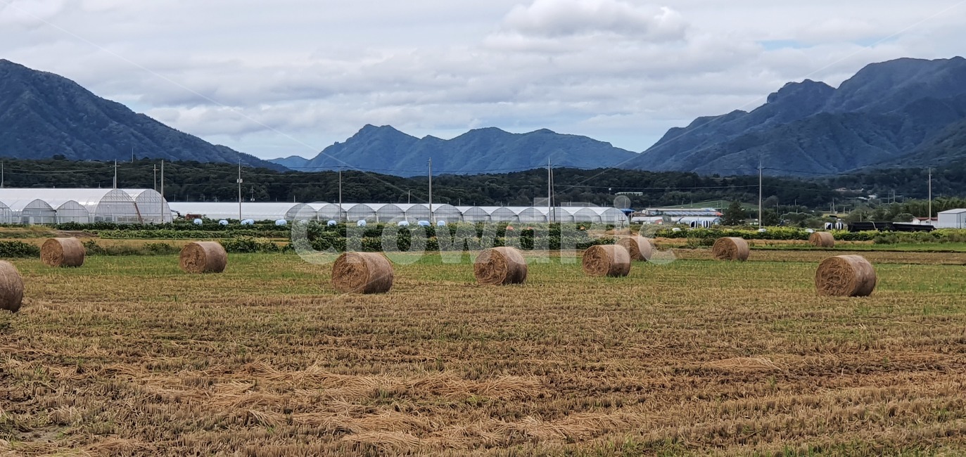 landscape,cloudscape,blue,sunlight,clear,cumulus,color,sky,day,weather,white,beauty,fluffy,space,cloudy,climate,summer,seasonal,background,light,sunny,season,high,beautiful,cloud,scenic,sunshine,heaven,abstract,nature,자연,outdoors,옥외,countryside,한지방,animal,동물,시골,마을,풍경,landscape,country,rural,town