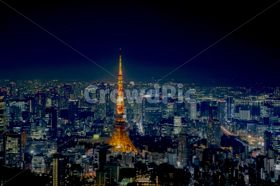 도쿄타워,도쿄,일본,야경,도시,tokyo,japan,night,city,tokyotower,야경,밤,풍경,nightscape,night,landscape,도시,city,랜드마크,landmark,tourist attraction,해외,외국,세계,foreign,oversea,world,세계도시풍경,해외도시풍경,외국도시풍경,world cityscape,세계랜드마크,해외랜드마크,외국랜드마크,world landmark,world tourist attraction,building,건물,architecture,건축물,tower,탑,spire,첨탑,steeple,뾰족한 탑,metropolis,중심지,시티,town,urban,어반