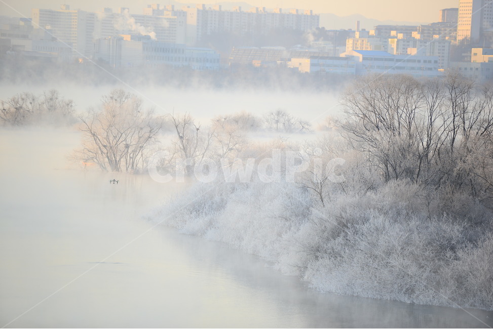 상고대,소양호,춘천,일출,물안개,겨울,나무