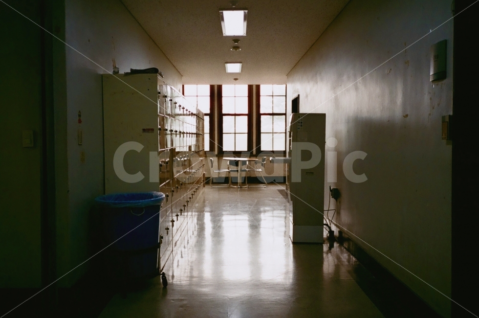 복도,풍경,landscape,빛,그림자,light,shadow,창문,windows,학교,school,사물함,cabinet,정수기,바닥,floor,감성,sensible,feeling,교육,학교,공부,education,learning,study,school