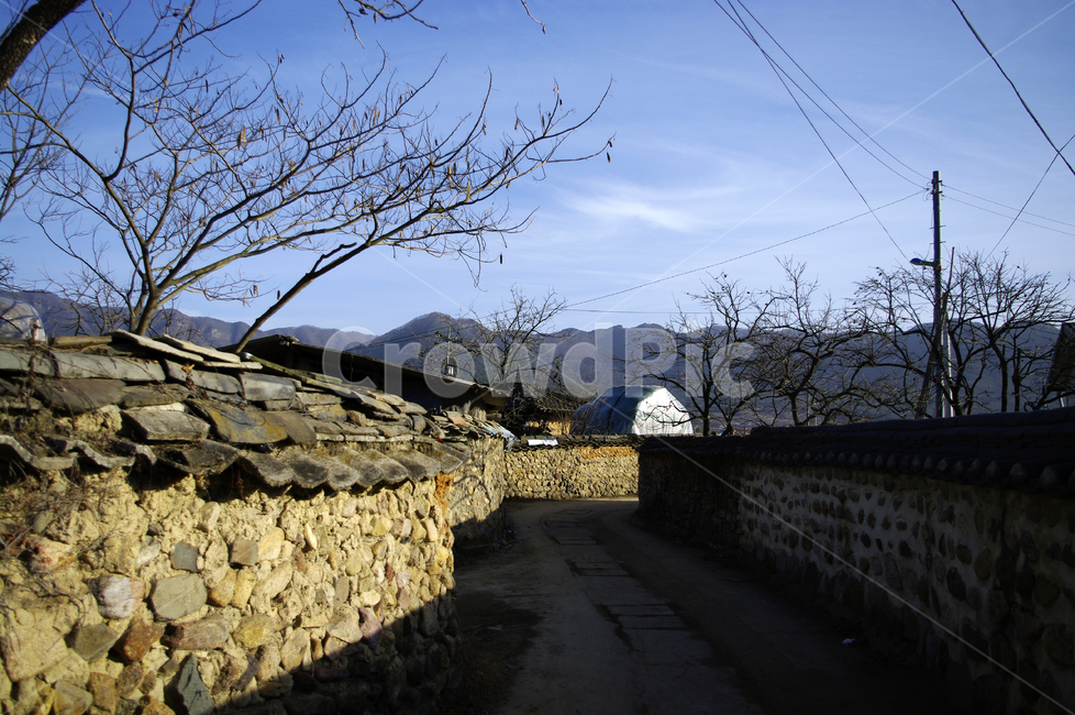 한옥,마을,돌담,길,돌담장,돌담길,담쟁이넝쿨,나무,한국전통,한국문화,korean traditional,korean culture,건축물,건물외관,exterior,building,structure,architecture,construction