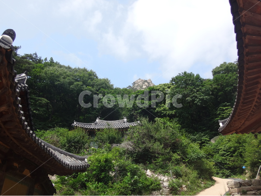 산속,숲속,하늘,나무,풍경,자연,풍경,nature,landscape,한국전통,한국문화,korean traditional,korean culture,outdoors,옥외