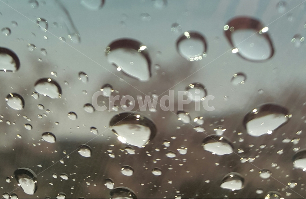 비,방울,창,투명,감정,비,비오는날,rain,rainy