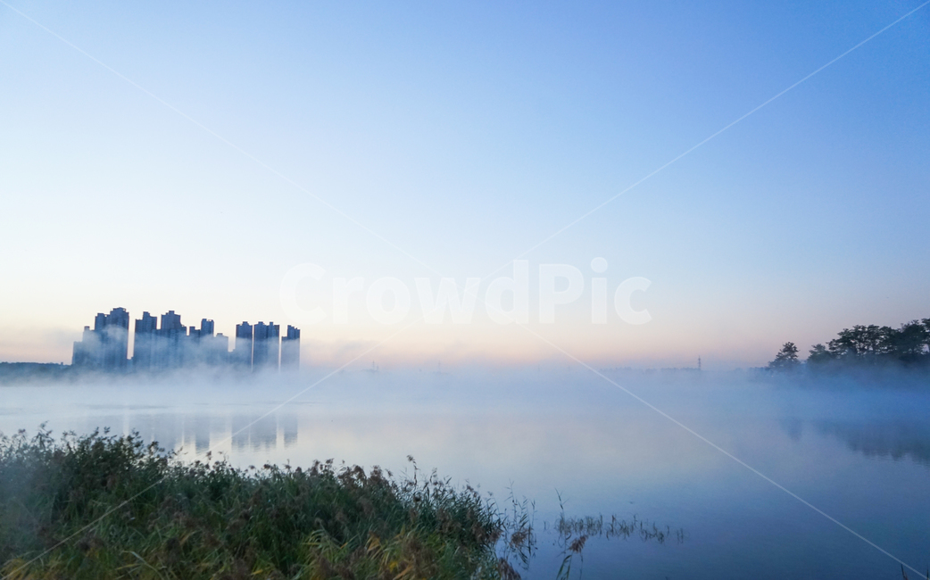 호수,저수지,안개,물안개,새벽,여명,풍경,자연,도시,풍경,city,landscape,한국도시풍경,한국도시경관,korea cityscape,nature,weather,날씨,outdoors,옥외