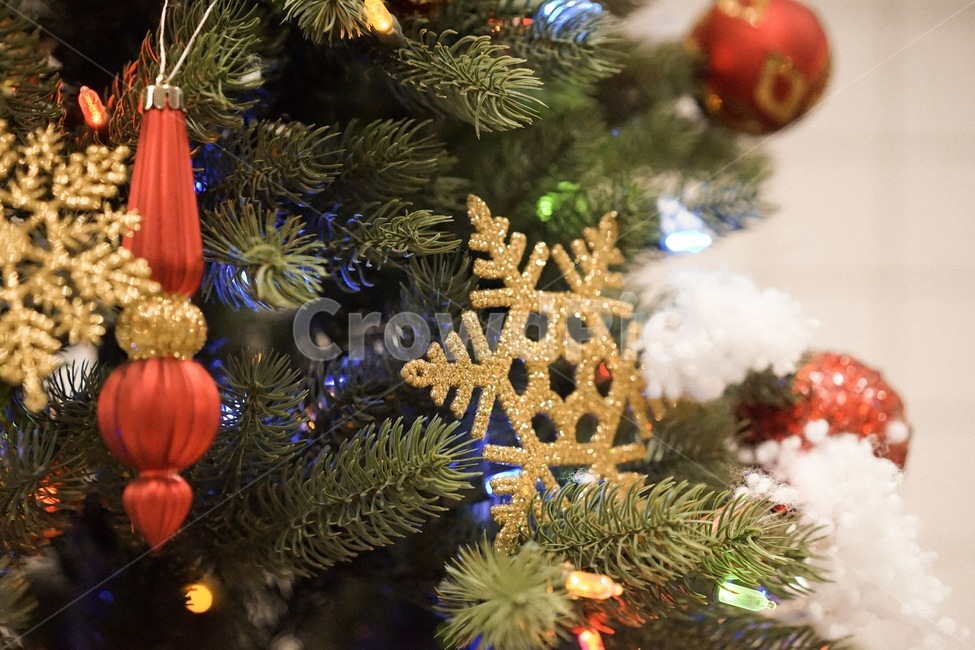 트리,크리스마스,겨울,tree,성탄절,겨울,계절,winter,season,메리크리스마스,성탄절,merry christmas