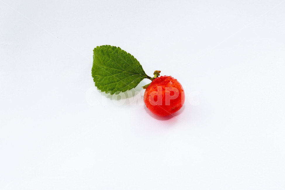 과일,앵두,디저트,여름,문양,음식,식재료,요리,food,cook,meal,dishes,food reserves,과일,열매,fruit,누끼,remove background
