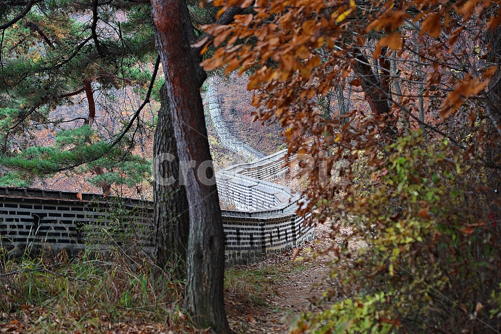 남한산성,성,성곽,단풍,낙엽,길,둘레길,숲,숲길,담,돌담,가을,자연,풍경,벽,울긋불긋,산성,식물,가을,계절,fall,autumn,season