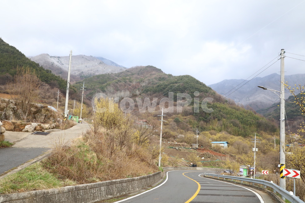 봄,산수유,자연,풍경,꽃,시골,길,산,계곡,봄,계절,spring,season,자연,풍경,nature,landscape,road,도로,freeway,고속 도로,highway,고속도로,asphalt,아스팔트
