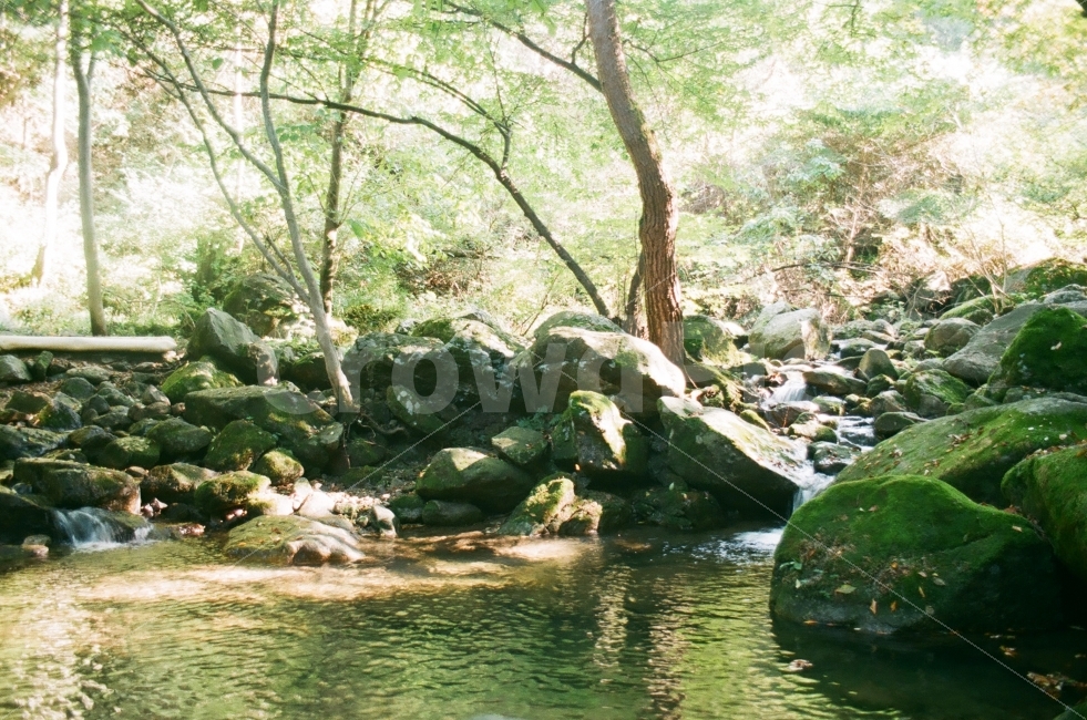 수성대,지리산,계곡,개울,개울가,지리산수성대,자연,풍경,nature,landscape,한국자연풍경,한국자연경관,korea nature landscape,휴식,힐링,rest,relaxation,healing,water,물,outdoors,옥외,stream,흐름,creek,작은 만