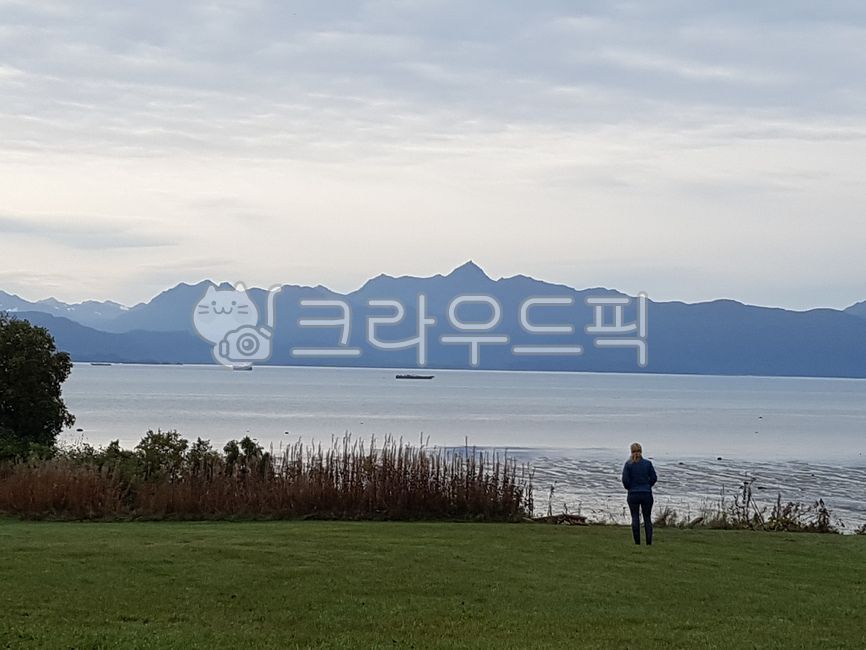 외로운사람,사람과자연,풍경사진,자연,아름다운,고요한,산,바다,호머,농장,아웃도어,잔디,greenfield,glacier,snowymountail,빙하,설산,알래스카,알라스카