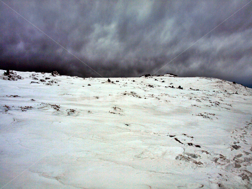 어리목,한라산,제주도,겨울,겨울산,설화,설목,설경,눈,등산,겨울,계절,winter,season,자연,풍경,nature,landscape,outdoors,옥외,weather,날씨