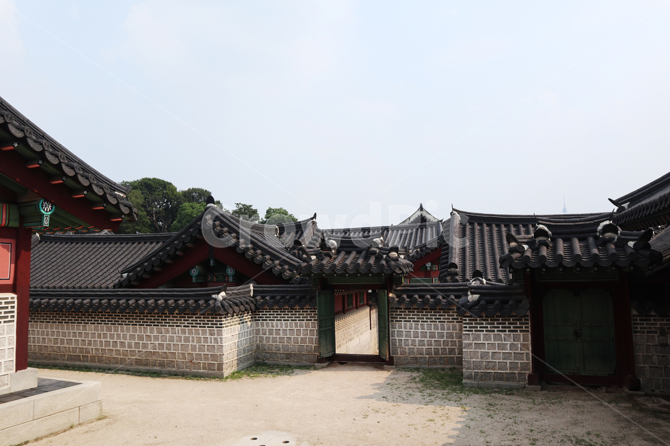 창덕궁,전통무늬,한국의궁,세계문화유산,문화유산,한국,건축물,건축외관,과거,기와,궁궐,서울,관광,단청,오방색,문화재,한국문화재,유형문화재,땅,한국전통,하늘,야외,고궁,지붕,처마,한국랜드마크,랜드마크,한국관광지,한국명소,나무