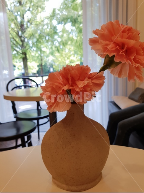 꽃,꽃병,카페,flower,배경,실내용화초,화분,화초,house plant