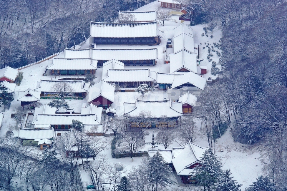 설경,백양사,겨울,눈,사찰