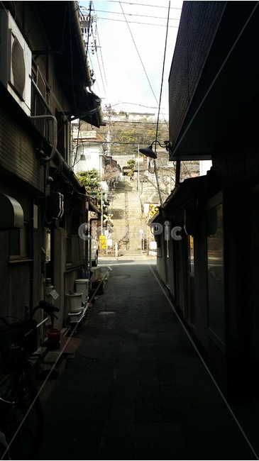 일본,골목길,풍경,계단,나무,건물,japan,alleys,scenery,stairs,tree,building,nippon,rozi,huukei,kaidan,ki,tatemono,도시,풍경,city,landscape,골목길,alley,해외,외국,세계,foreign,oversea,world,세계도시풍경,해외도시풍경,외국도시풍경,world cityscape,street,거리,road,도로,시티,urban,어반,town,골목,alleyway