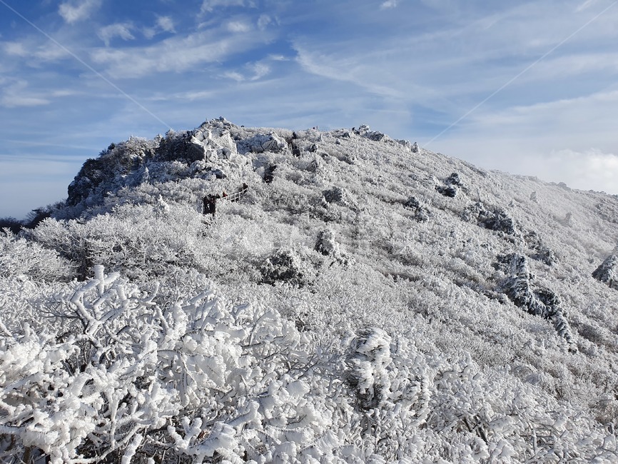 설산,눈,눈꽃,snowmountain,suricacid,tree,나무,plant,식물,outdoors,nature,자연,빙,ice,덕유산,겨울,계절,winter,season