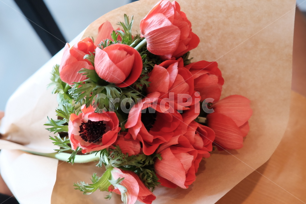꽃,꽃다발,붉은꽃,감성사진,예쁜꽃,꽃,flower,기념일,축하,anniversary,congratulation,celebrate,celebration