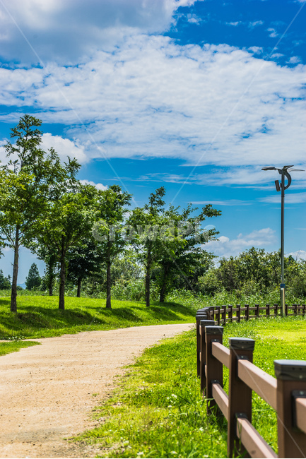 부산,화명생태공원,공원,여름,나무,잔디,흙,울타리,흙길,구름,하늘,busan,park,summer,wood,grass,sand,fence,cloud,sky,자연,풍경,nature,landscape,휴식,힐링,rest,relaxation,healing