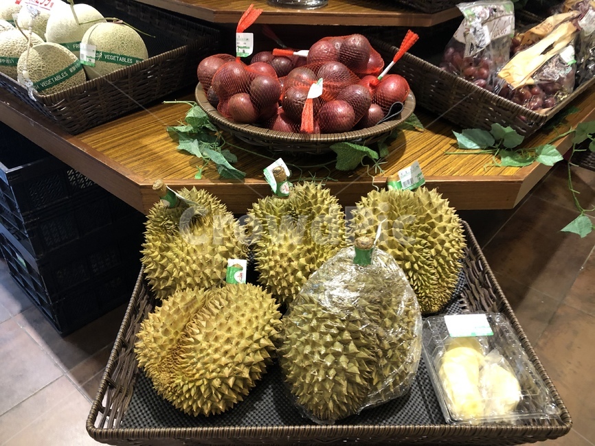 과일,두리안,식물,음식,fruit