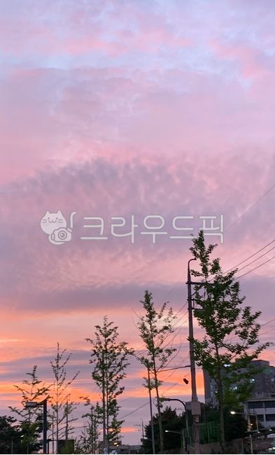 노을,하늘,자연,나무,야외,구름,sunset,sky,tree,nature