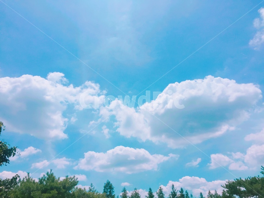 나주,하늘,나주하늘,구름,파란하늘,자연,풍경,nature,landscape,outdoors,옥외,sky,azure sky,푸른 하늘