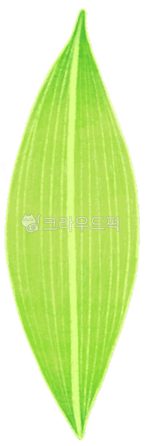 Illustration,illustration,leaf,leaflet,leaf,leaf,plant,plant illustration,nature,environment,plant drawing,colored pencil,digital drawing,green,green,natural object,Arbor Day,botanical,botanical,botanical illustration,botanical illustr