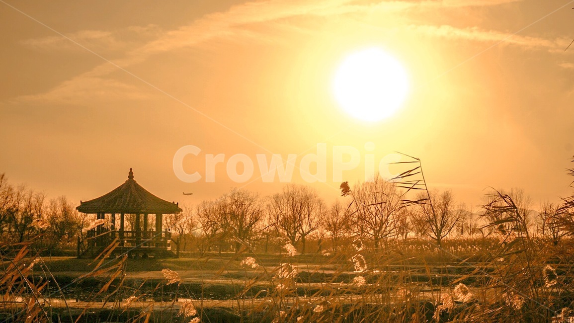 하늘,억새,노을,정자,감성,풍경,자연,가을,계절,fall,autumn,season