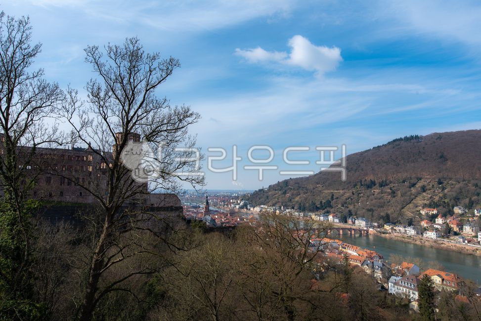 heidelbergcatsle,naturallandscape,castle,germany,building,houses,cityscape,educational city,europe,educationcity,architecture,nature,natural landscape,medieval city,heidelberg,heidelberg castle,river