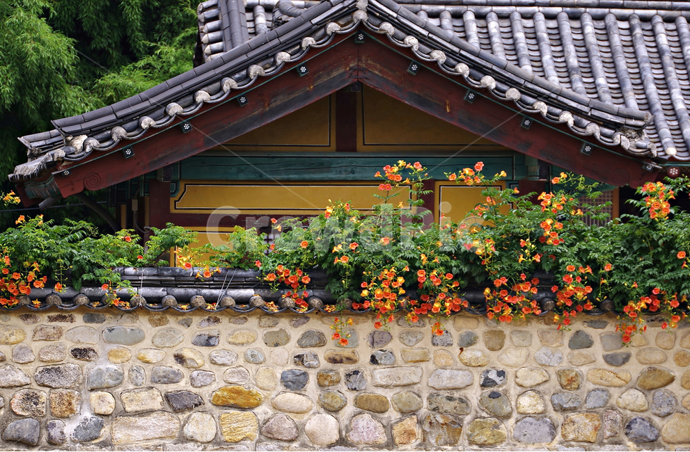 한옥,지붕,담장,능수화,조경,한국전통,한국문화,korean traditional,korean culture,건축물,건물외관,exterior,building,structure,architecture,construction
