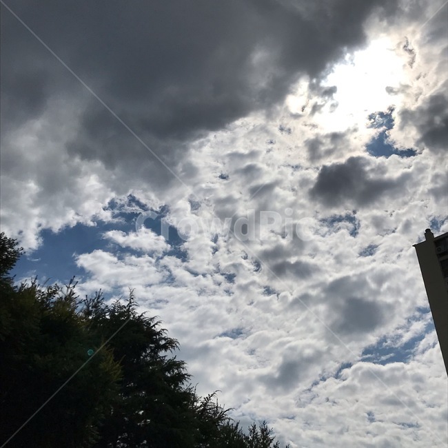 구름,하늘,sky,cloud,자연,nature,옥외,outdoors,weather,날씨,cumulus,적운,햇빛,빛,sunlight,light