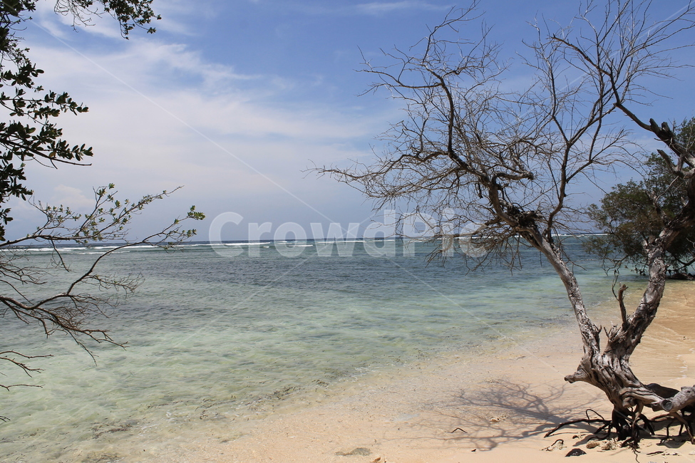인도네시아,길리,해변,나무해변,나무,indonesia,gili,beach,treeandbeach,treeonthebeach,vacation,고즈넉