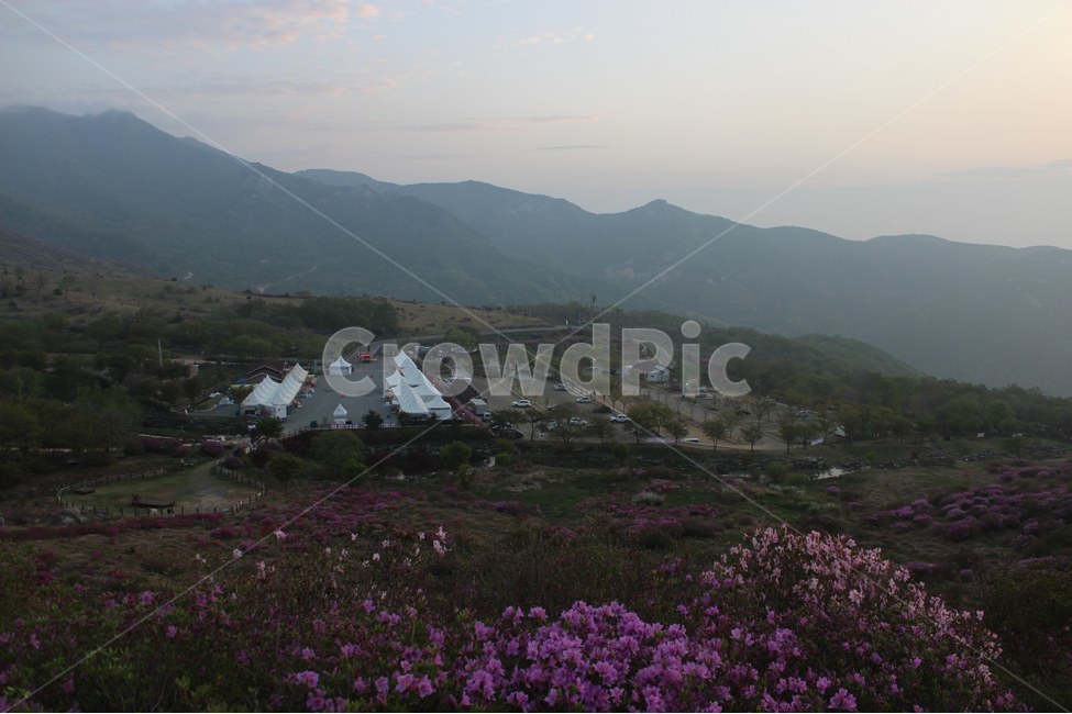 경치,자연,풍경,하늘,나무,봄,계절,spring,season,자연,풍경,nature,landscape,한국자연풍경,한국자연경관,korea nature landscape,outdoors,옥외,scenery