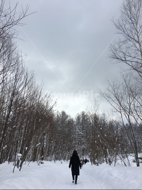겨울,겨울이미지,눈,winter,snow,겨울,계절,winter,season