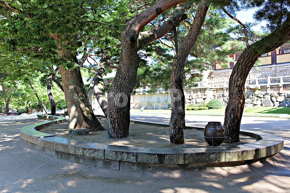 불국사,경주,절,사찰,국보,보물,전통,기와집,집,한옥