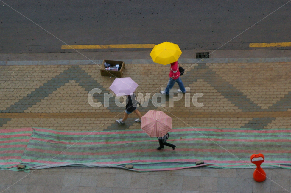 비오는날,흐린,흐림,비,umbrella,우산,비,비오는날,rain,rainy