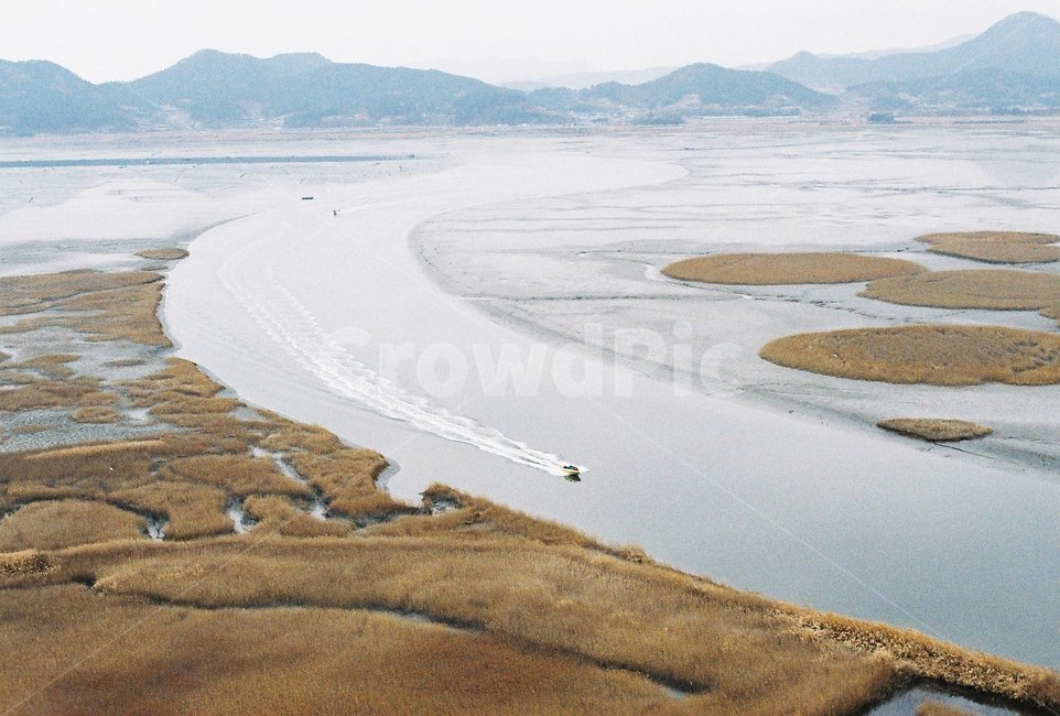 순천만,순천만습지,순천만풍경,s자수로,항해,물길,자연,풍경,nature,landscape,scenery,outdoors,옥외,land,땅,경치
