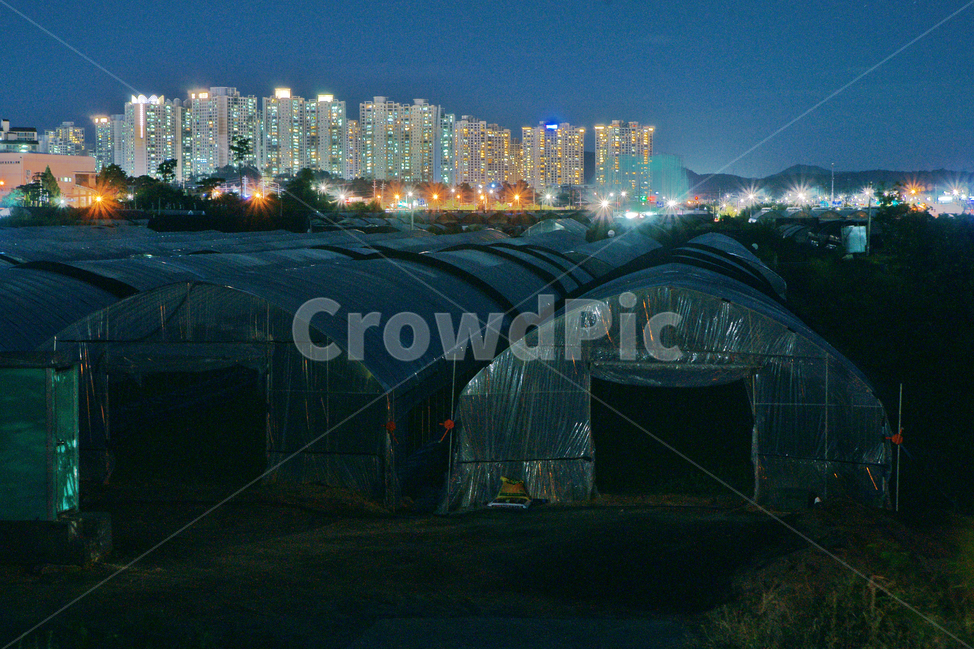 야경,개발,아파트촌,불빛,비닐하우스,변두리,야경,밤,풍경,nightscape,night,landscape,도시,city,한국도시풍경,한국도시경관,korea cityscape,산업,industry,industrial,농업,농사,agriculture,farming,farming industry