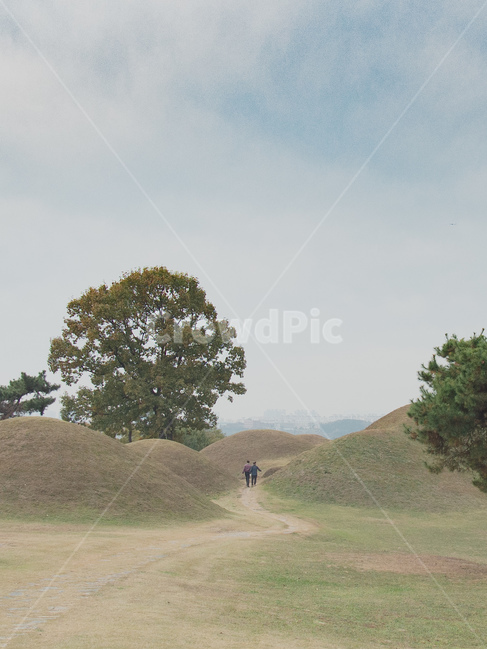 옥외,야외,자연,풍경,grassland,들,field,자연,풍경,nature,landscape