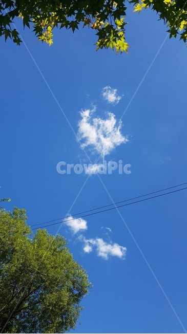 하늘,여름,데미샘,계곡,구름,자연,풍경,nature,landscape,azure sky,푸른 하늘,sky,outdoors,옥외