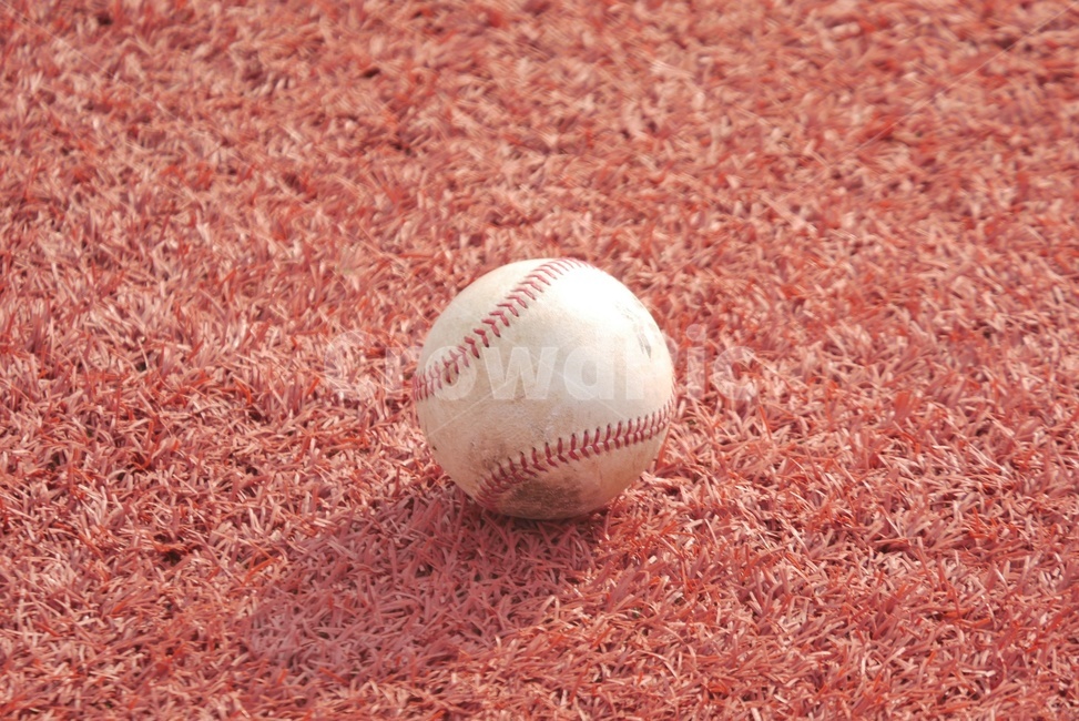 야구,야구공,야구장,공,ball,baseball,구기종목,스포츠,sports,운동,스포츠,레저,운동,sports,leisure,exercise