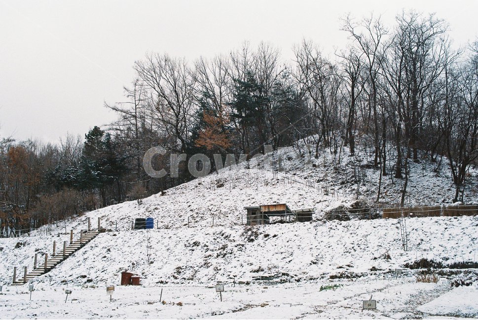 눈,겨울,나무,자연,산,snow,snowy,winter,tree,nature,빙,frost,서리