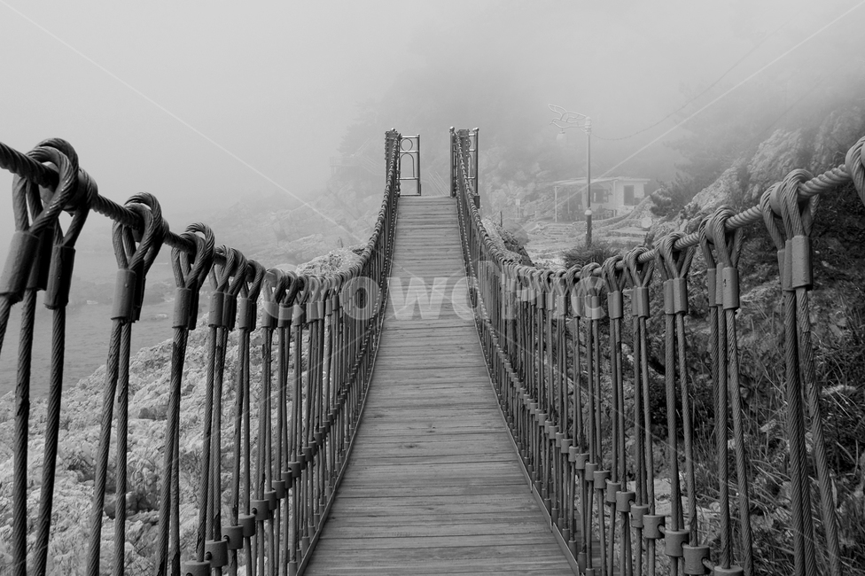 출렁다리,다리,흑백,길,건너다,출렁,스냅,흔들다리,bridge,black,풍경배경,배경,흑백배경,흑백,모노톤,monochrome,black and white