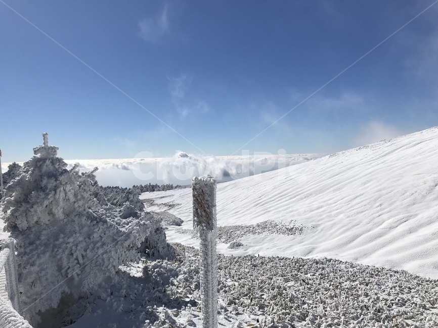mountain,한라산,눈꽃,영실코스,겨울,겨울,계절,winter,season,자연,풍경,nature,landscape,outdoors,옥외,산
