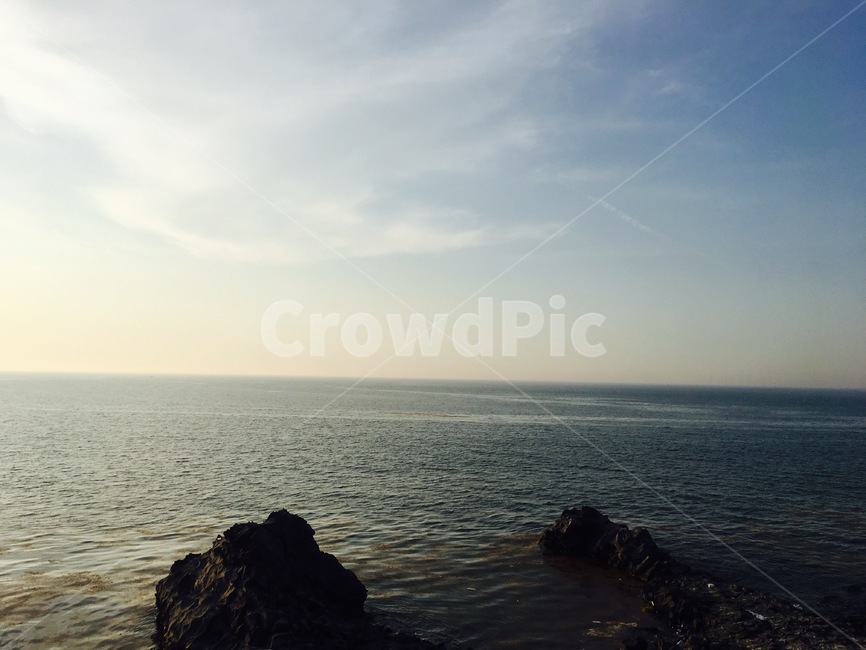 나무,tree,식물,자연,nature,경치,landscape,풍경,scenery,곶,promontory,물,water