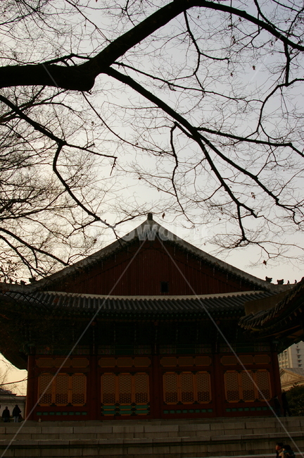 한옥,전통,한국적인,건축물,건물,석양,저녁,나무,한국전통,한국,랜드마크,한국전통,한국문화,korean traditional,korean culture,건축물,건물외관,exterior,building,structure,architecture,construction