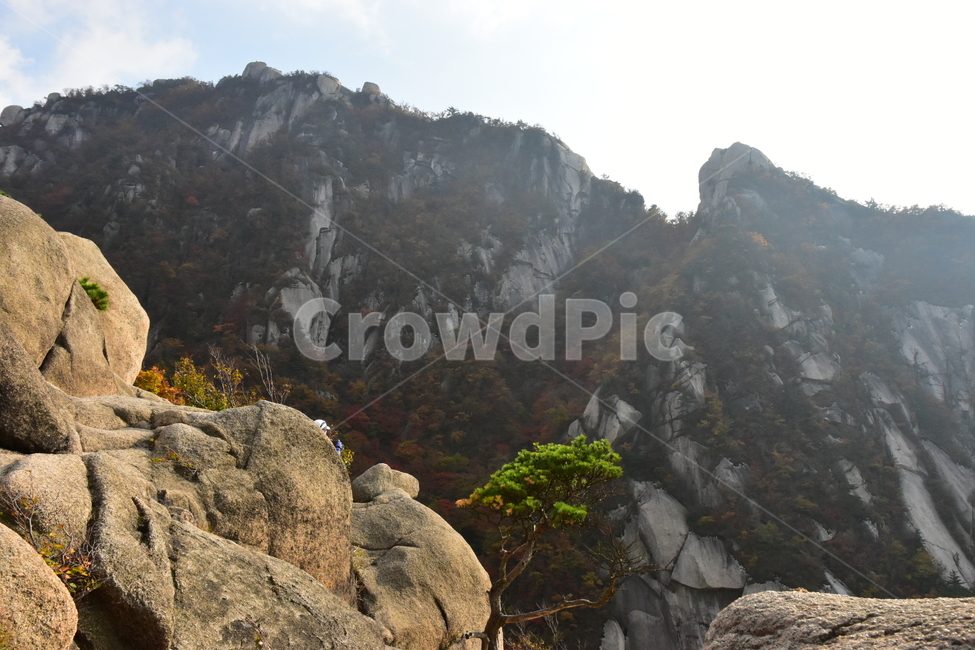 가을,단풍,자연,풍경,북한산,잎,단풍잎,붉은,나무,계절,계곡,숲,힐링,plant,fall,autumn,season,forestnature,landscape,한국자연풍경,한국자연경관,korea,tree,maple,leaf,가을,계절,fall,autumn,season,자연,풍경,nature,landscape,outdoors,옥외,cliff,낭떠러지
