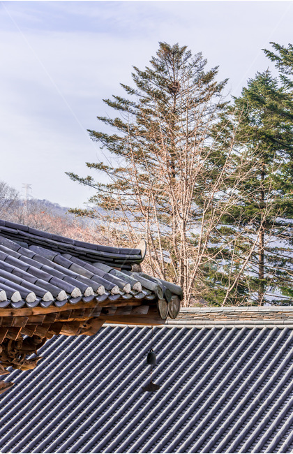 문화유산,풍경,기와,전통,사찰,한국전통,한국문화,korean traditional,korean culture,건축물,건물외관,exterior,building,structure,architecture,construction