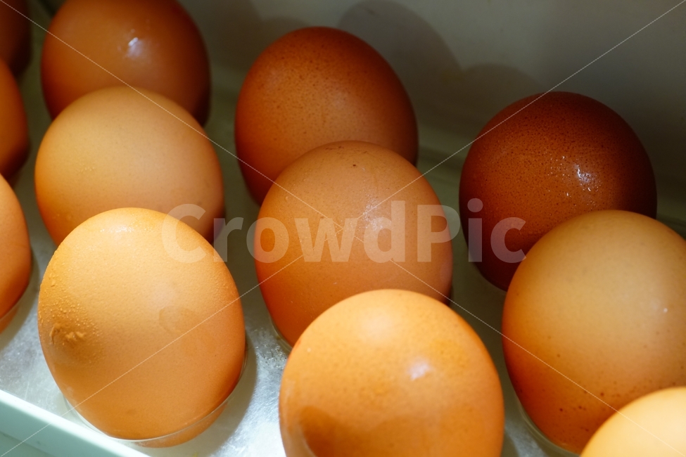 egg,objects,concept,recipe,animal nature,verdure,freshness,side dish,preservation,bite,ingredients,cooking,kitchen,kitchen utensils,Frozen storage,cook,frozen,food ingredients,food,gyeol,dessert,keep,grocery,animated,fresh,refrigerator,thing,object