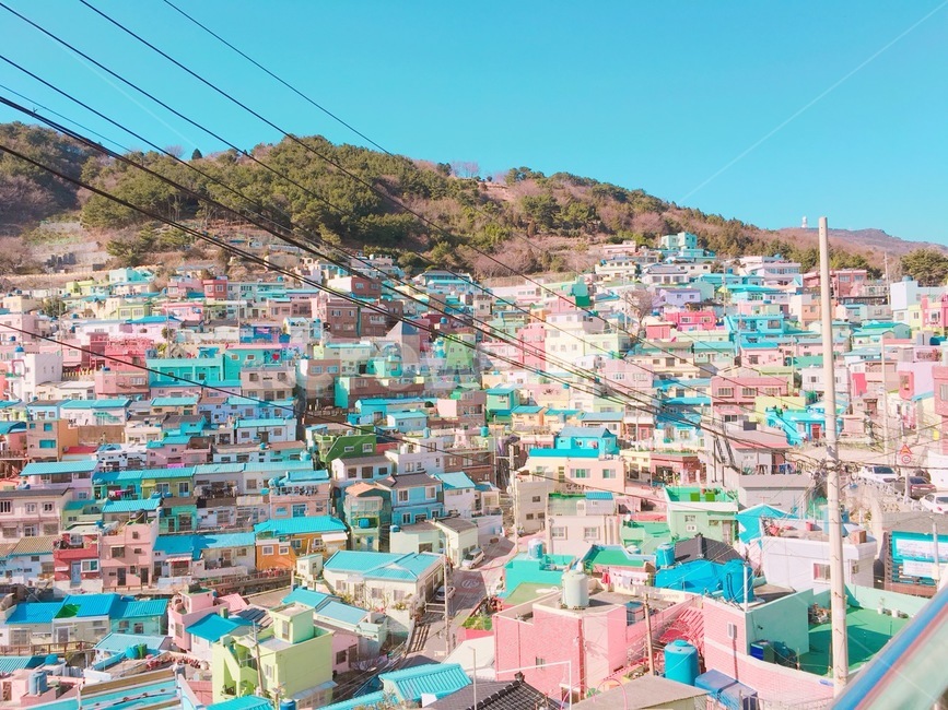 부산,busan,예술,감천마을,알록달록,도시,풍경,city,landscape,한국도시풍경,한국도시경관,korea cityscape,경치,outdoors,옥외,nature,자연,scenery,aerial view,조감도